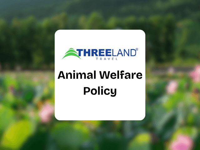 Animal Wellfare Policy