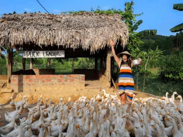 Ultimate Guide to Things To Do in Phong Nha, Vietnam