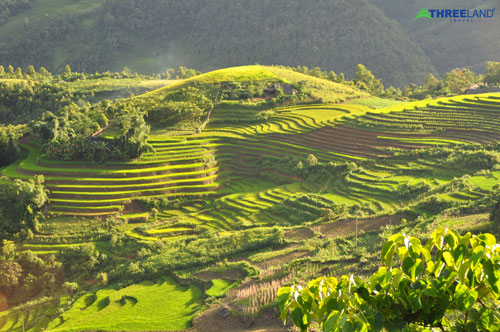 Vietnam Travel Ideas